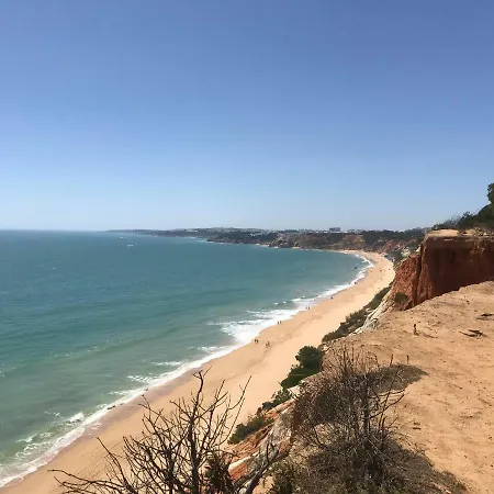 شقة 1 Bedroom Apartment, 5 Minute Walk To The Beach البوفيرا